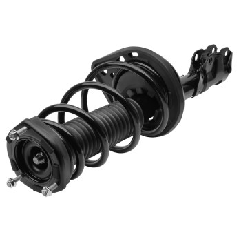 Suspension Strut and Coil Spring Assembly