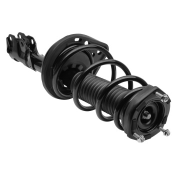 Suspension Strut and Coil Spring Assembly