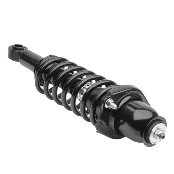 Suspension Strut and Coil Spring Assembly