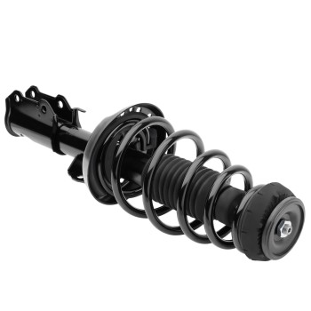Suspension Strut and Coil Spring Assembly