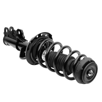 Suspension Strut and Coil Spring Assembly