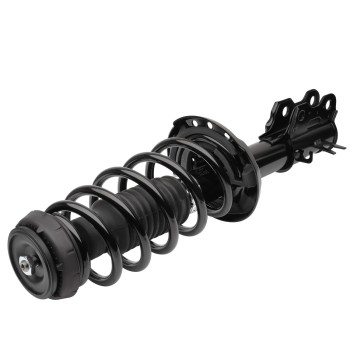 Suspension Strut and Coil Spring Assembly