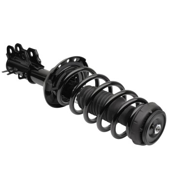 Suspension Strut and Coil Spring Assembly