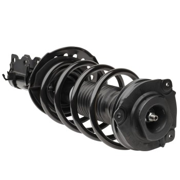 Suspension Strut and Coil Spring Assembly