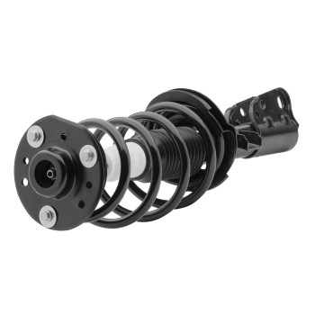 Suspension Strut and Coil Spring Assembly