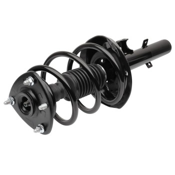 Suspension Strut and Coil Spring Assembly