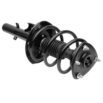 Suspension Strut and Coil Spring Assembly