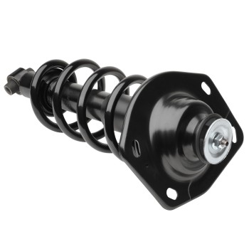 Suspension Strut and Coil Spring Assembly