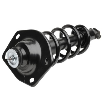 Suspension Strut and Coil Spring Assembly