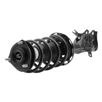 Suspension Strut and Coil Spring Assembly