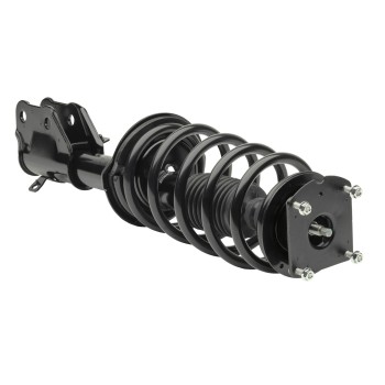 Suspension Strut and Coil Spring Assembly