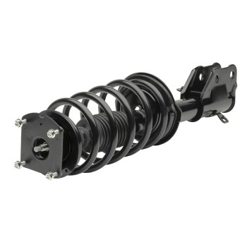 Suspension Strut and Coil Spring Assembly