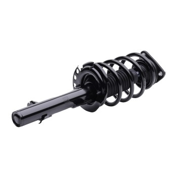 Suspension Strut and Coil Spring Assembly