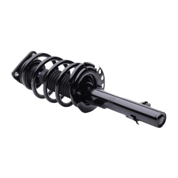 Suspension Strut and Coil Spring Assembly