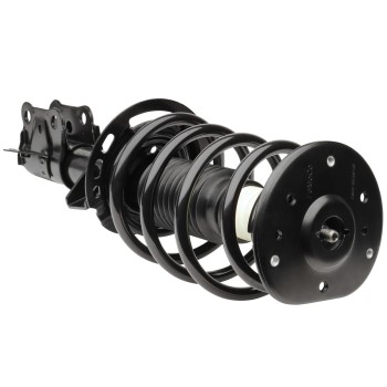 Suspension Strut and Coil Spring Assembly