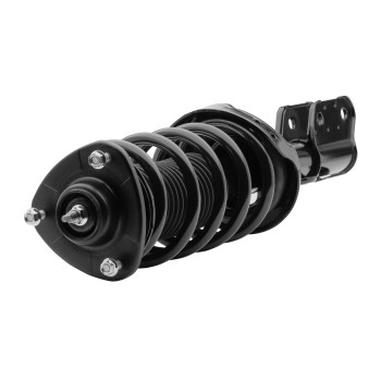 Suspension Strut and Coil Spring Assembly