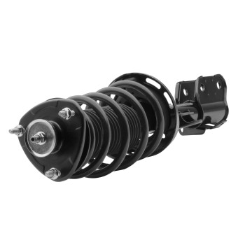Suspension Strut and Coil Spring Assembly