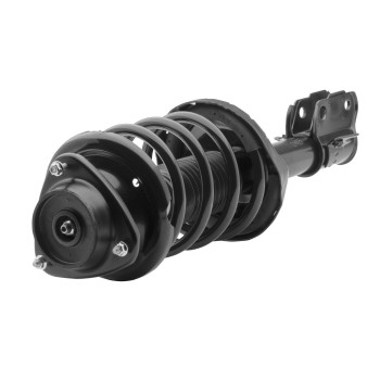 Suspension Strut and Coil Spring Assembly