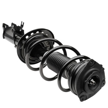 Suspension Strut and Coil Spring Assembly