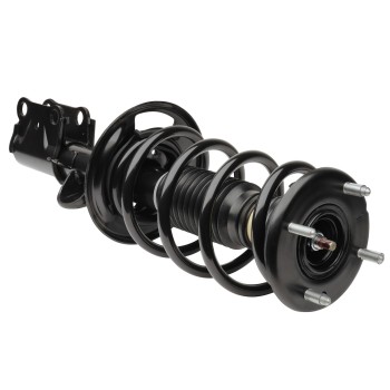 Suspension Strut and Coil Spring Assembly