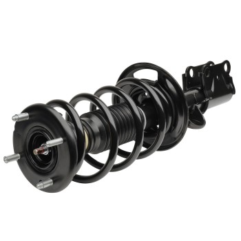 Suspension Strut and Coil Spring Assembly