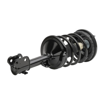 Suspension Strut and Coil Spring Assembly