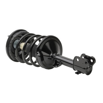 Suspension Strut and Coil Spring Assembly