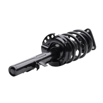 Suspension Strut and Coil Spring Assembly