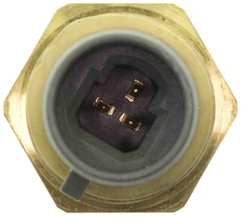 Exhaust Gas Recirculation (EGR) Pressure Sensor