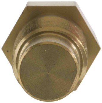 Engine Coolant Temperature Sensor