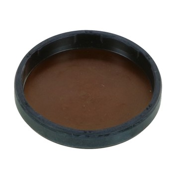 Engine Camshaft Plug