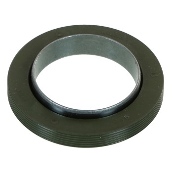 Engine Crankshaft Seal