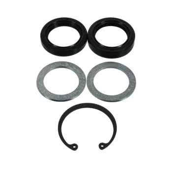 Steering Gear Pitman Shaft Seal Kit