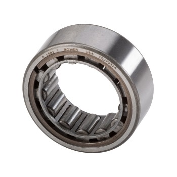 Differential Pinion Pilot Bearing