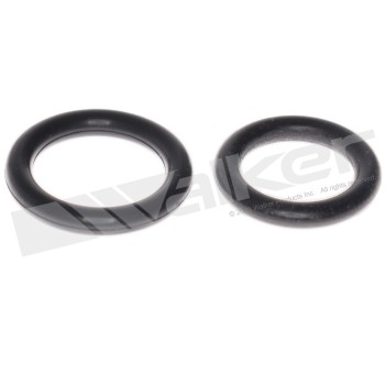 Fuel Injection Fuel Rail O-Ring Kit