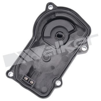 Throttle Position Sensor