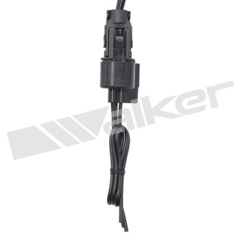 Engine Crankshaft Position Sensor