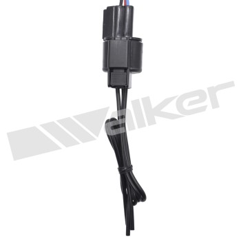 Engine Crankshaft Position Sensor