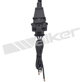 Engine Crankshaft Position Sensor