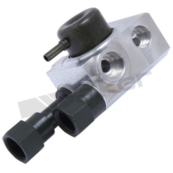 Fuel Injection Pressure Regulator
