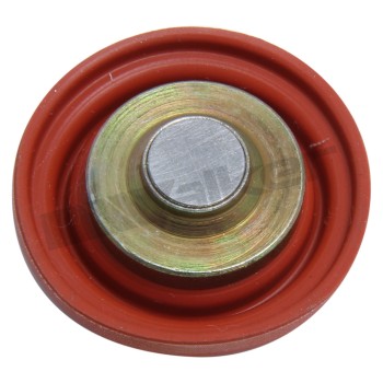 Fuel Injection Pressure Regulator