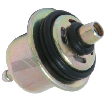 Fuel Injection Pressure Regulator