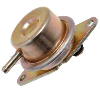 Fuel Injection Pressure Regulator