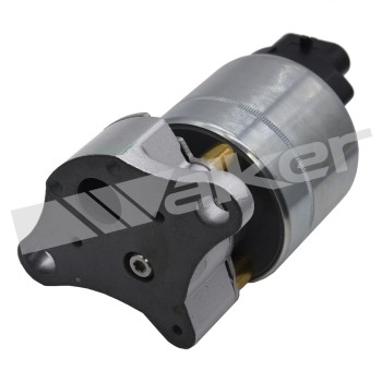 Exhaust Gas Recirculation (EGR) Valve