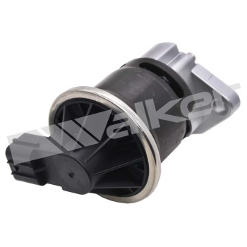 Exhaust Gas Recirculation (EGR) Valve