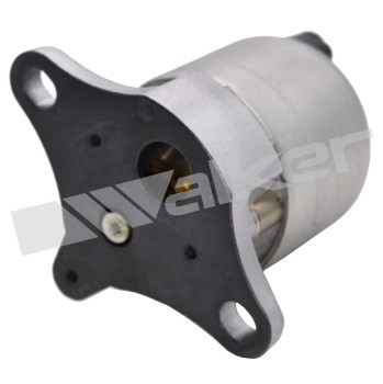 Exhaust Gas Recirculation (EGR) Valve