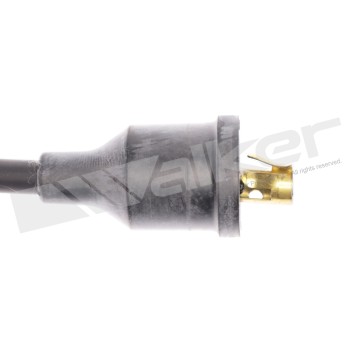 Spark Plug Wire Set