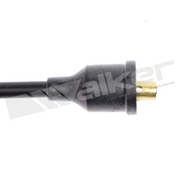 Spark Plug Wire Set