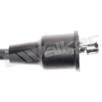 Spark Plug Wire Set