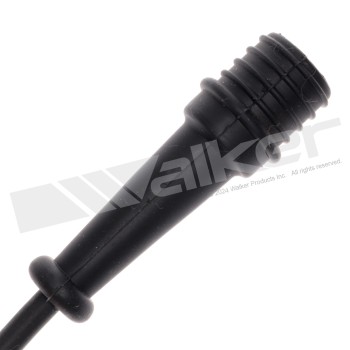 Spark Plug Wire Set